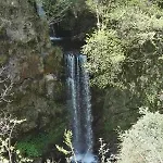 Guglielmina