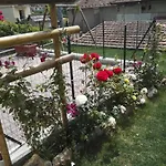 Nocleg ze śniadaniem Guglielmina