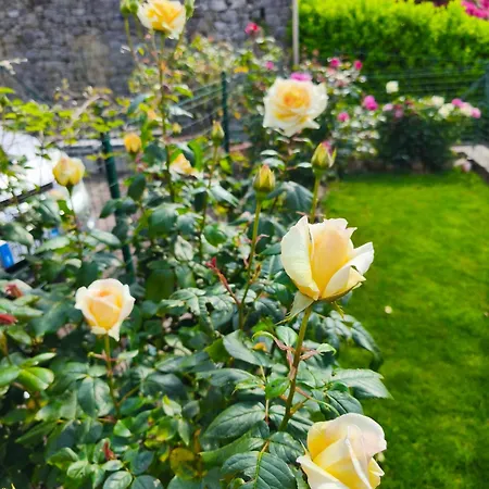 Guglielmina Bed and breakfast Quarna Sotto