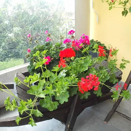 Guglielmina Bed & Breakfast 3*
