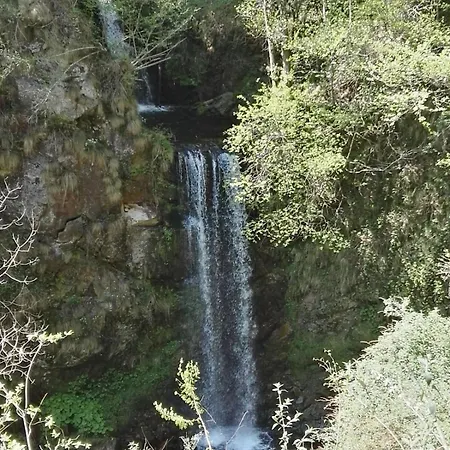 Guglielmina