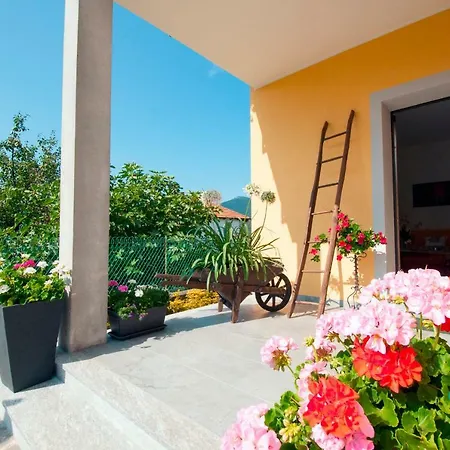 Guglielmina 3*