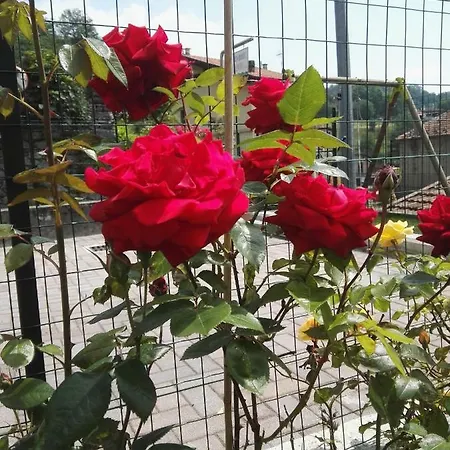 Bed & Breakfast Guglielmina Quarna Sotto