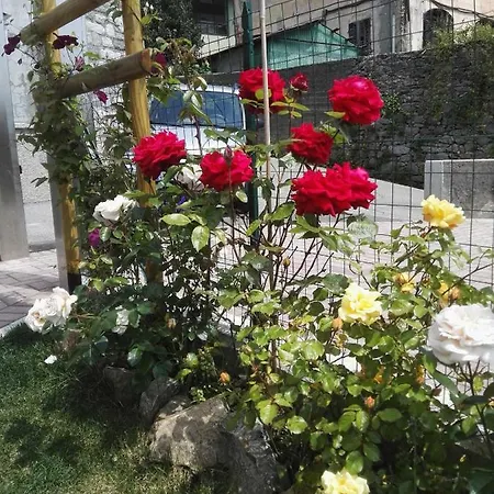 Bed and breakfast Guglielmina