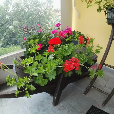 Guglielmina Bed and breakfast