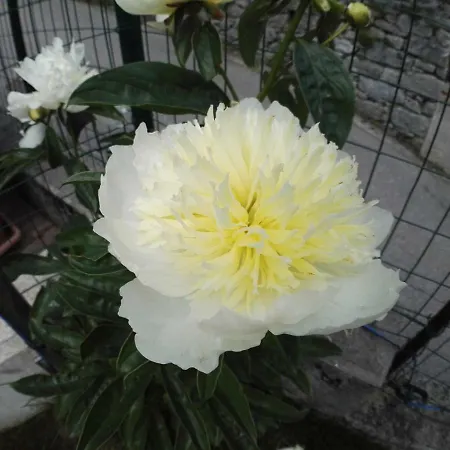 Guglielmina Bed & Breakfast Quarna Sotto