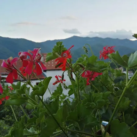 Bed & Breakfast Guglielmina Quarna Sotto